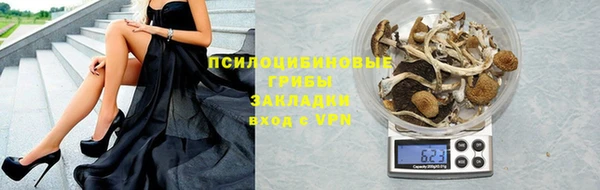 ПСИЛОЦИБИНОВЫЕ ГРИБЫ Ельня