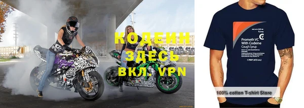 ПСИЛОЦИБИНОВЫЕ ГРИБЫ Ельня