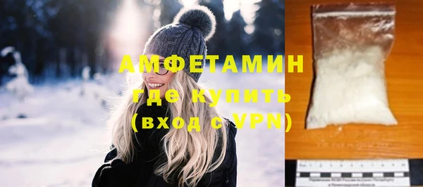 прущие грибы Елизово