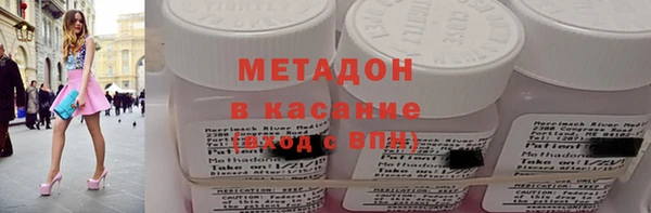 прущие грибы Елизово