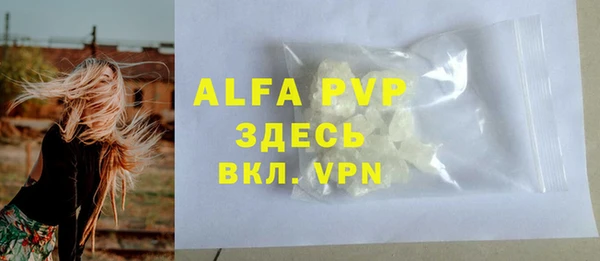 ПСИЛОЦИБИНОВЫЕ ГРИБЫ Ельня