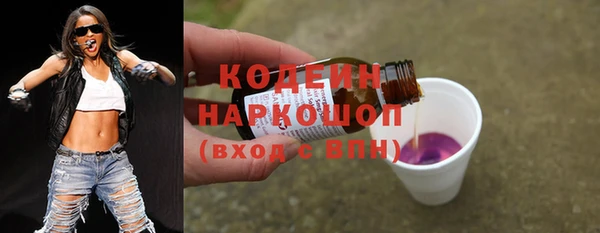 прущие грибы Елизово