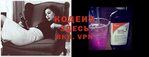 прущие грибы Елизово