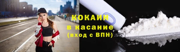 прущие грибы Елизово