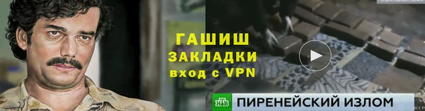прущие грибы Елизово