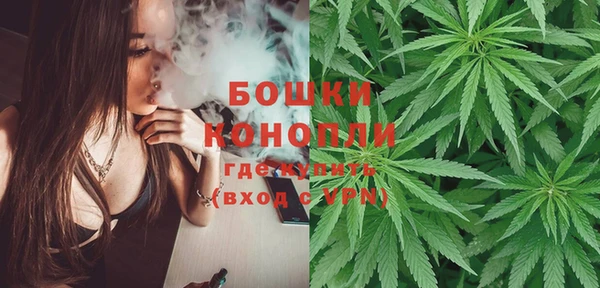 прущие грибы Елизово