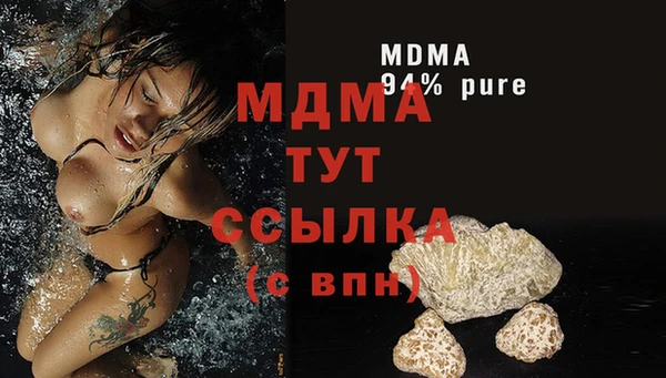 прущие грибы Елизово