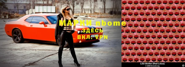 ПСИЛОЦИБИНОВЫЕ ГРИБЫ Ельня