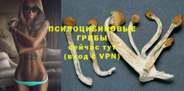 ПСИЛОЦИБИНОВЫЕ ГРИБЫ Ельня