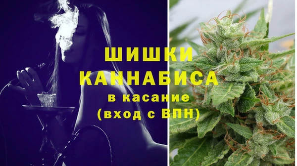 ПСИЛОЦИБИНОВЫЕ ГРИБЫ Ельня