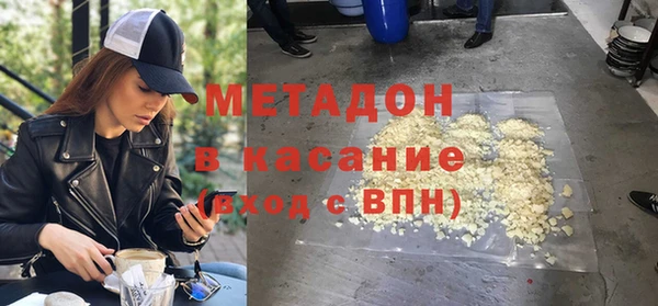 прущие грибы Елизово