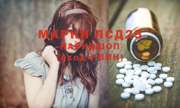 ПСИЛОЦИБИНОВЫЕ ГРИБЫ Ельня
