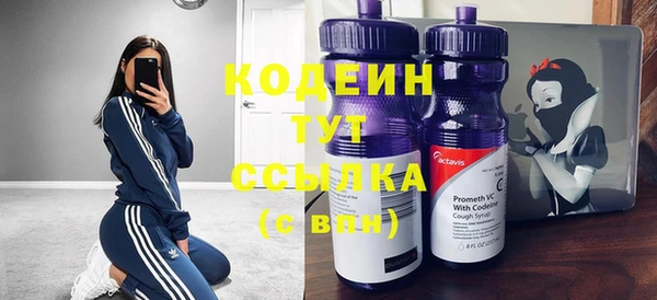 ПСИЛОЦИБИНОВЫЕ ГРИБЫ Ельня