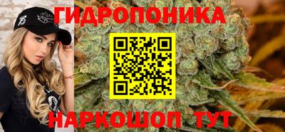 тгк Севастополь