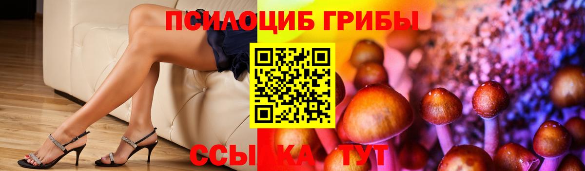 Урус-Мартан  Галлюциногенные грибы Magic Shrooms  Вход с VPN 
